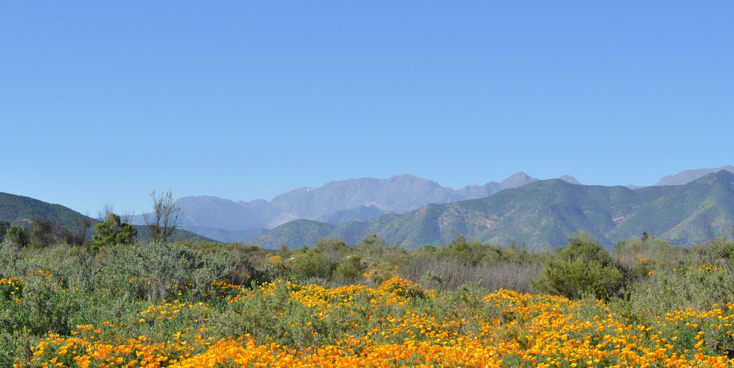 Ribera del Aconcagua.